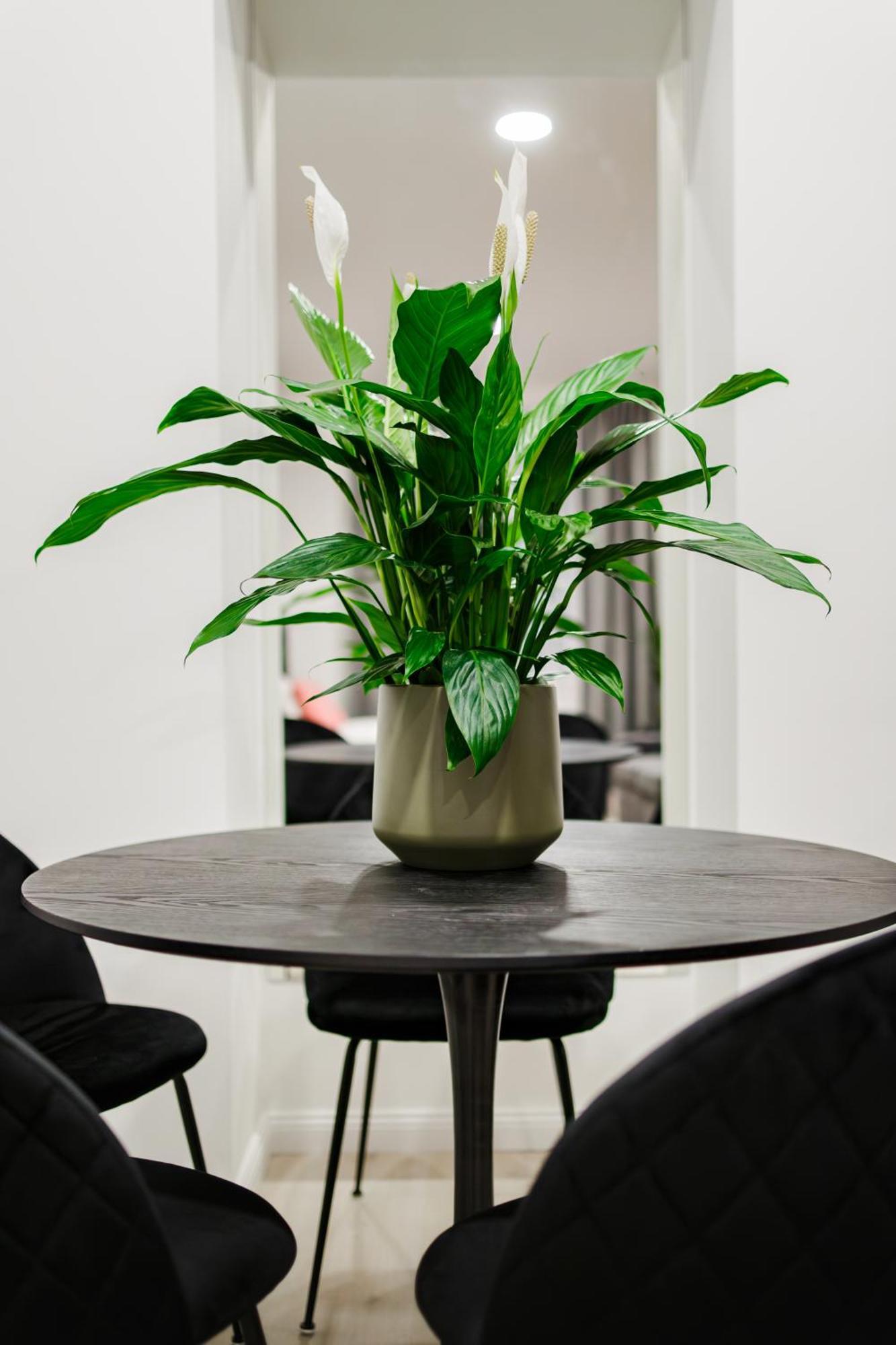 Rigaapartment Elizabetes 22 Self-Service Aparthotel Εξωτερικό φωτογραφία